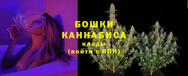 а пвп мука Осинники