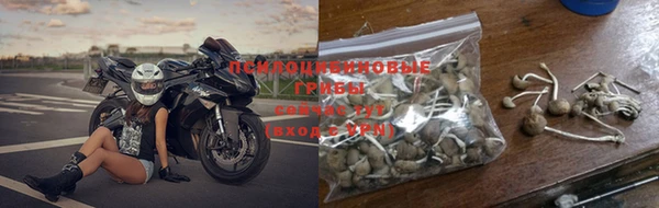 прущие грибы Остров