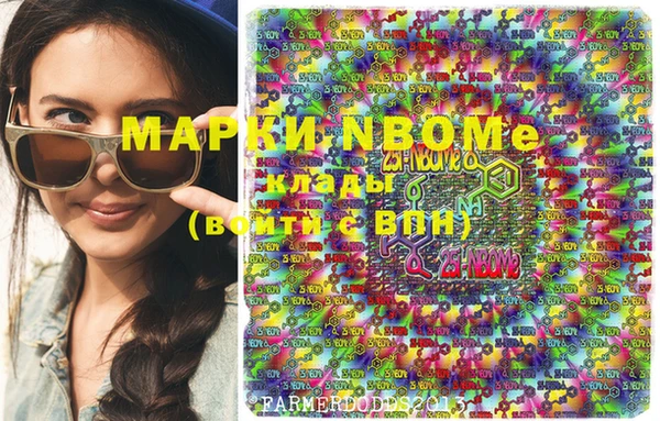 соль ск Няндома