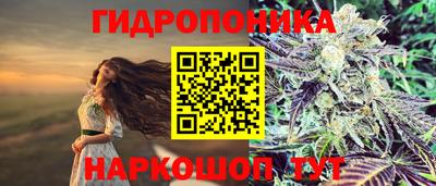 мяу мяу мука Кандалакша