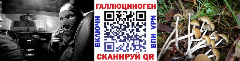 продажа наркотиков  блэк спрут маркетплейс  Галлюциногенные грибы MAGIC MUSHROOMS  Азов 