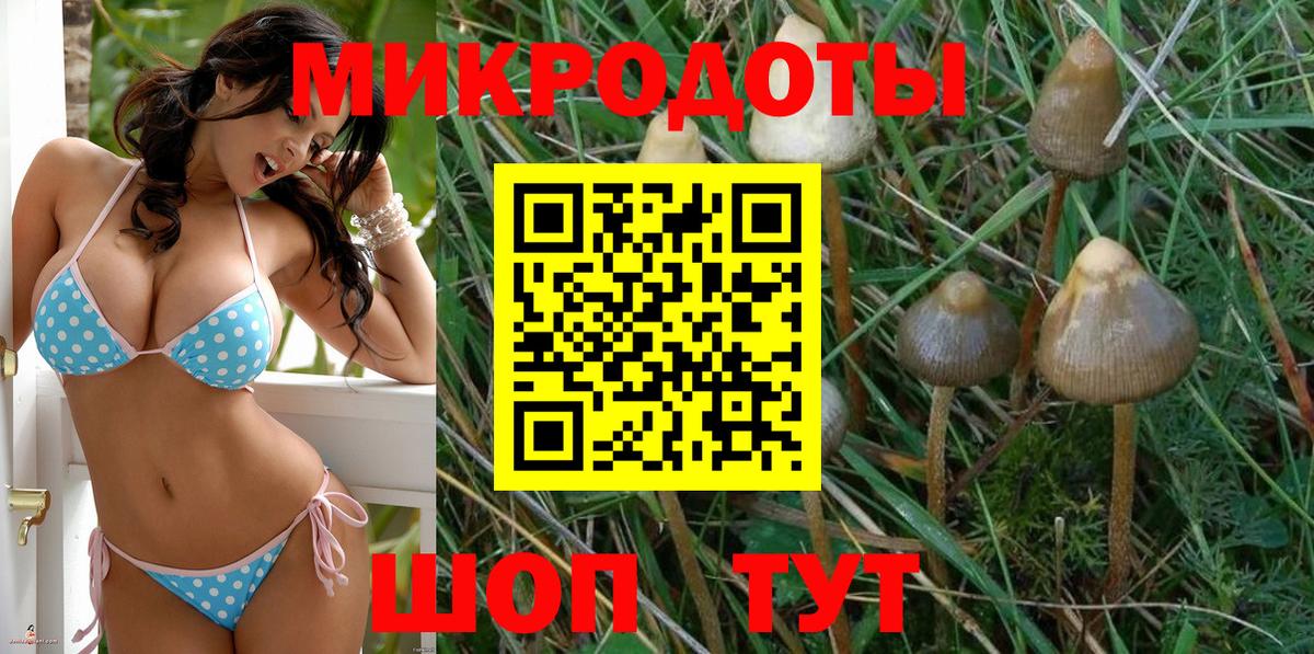 Псилоцибиновые грибы мицелий Азов