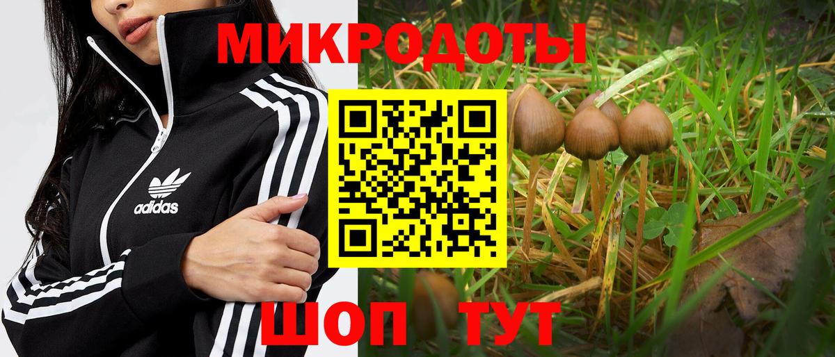 Азов  Галлюциногенные грибы MAGIC MUSHROOMS  продажа наркотиков  Вход с VPN 